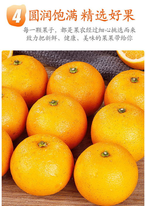 湖南麻阳冰糖橙小甜橙孕妇新鲜水果超甜橙子应季水果2 10斤脐橙
