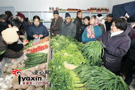 新疆哈密25家便民直销店建成营业
